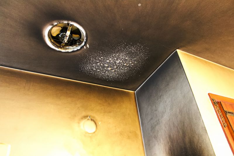 Final Cleaning and Odor Removal